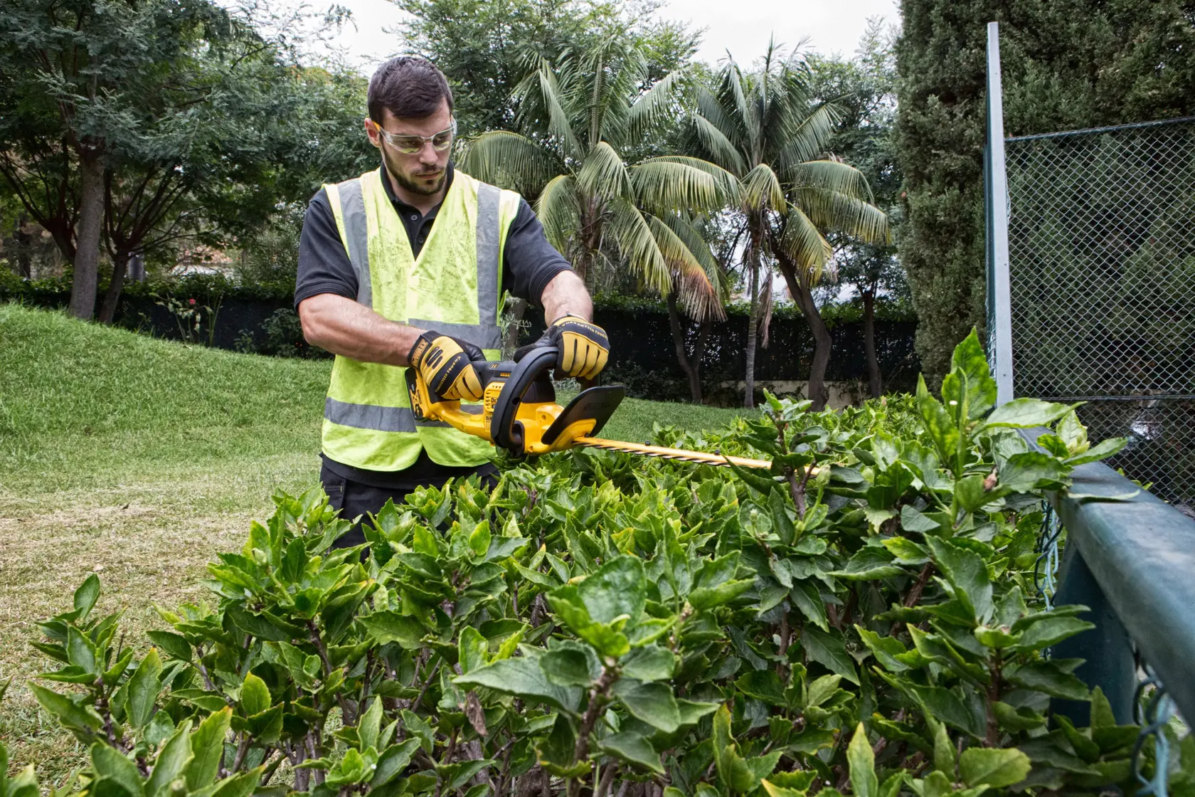 DEWALT® 18V XR 55 см ножица за жив плет (19 мм разстояние между зъбите) - само инструмент