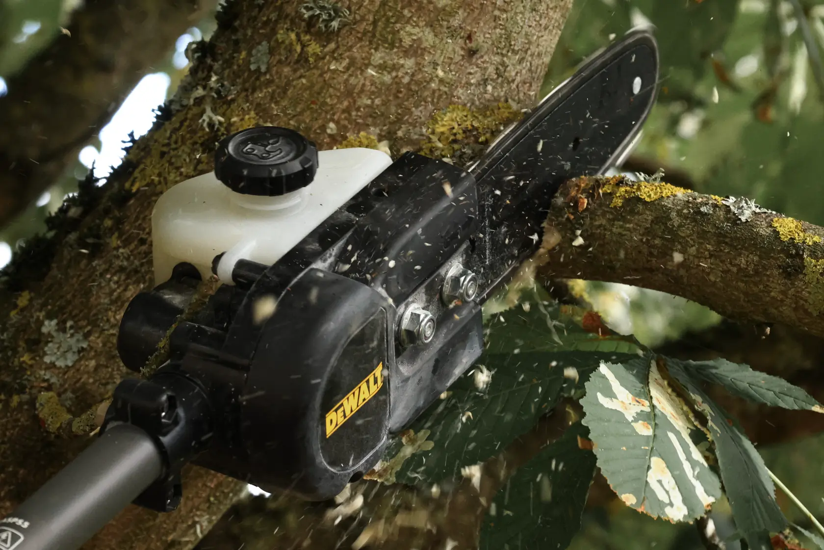 DEWALT saw cutting tree branch. SKUs: DCMASED57X1, DCMASED9N, DCMASPH6N, DCMASPS5N, DCMASST1N, DCMASBC1N, DCMAS5713X1
