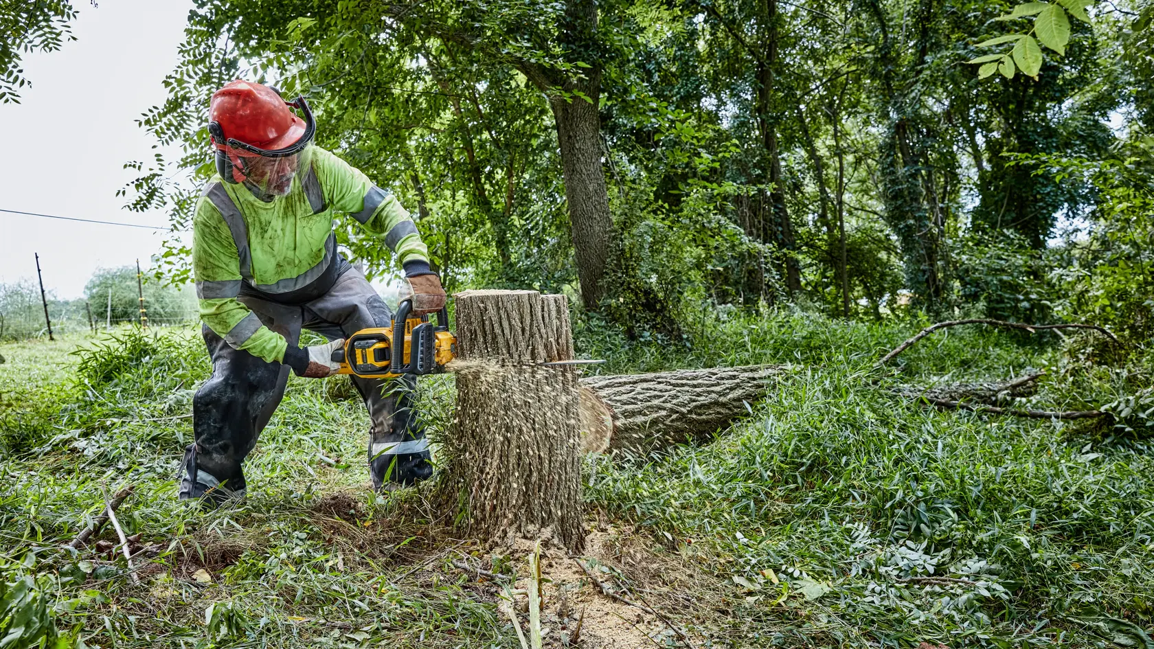 A person wearing safety gear uses a DEWALT cordless chainsaw to cut through a large tree stump outdoors, surrounded by grass and trees.
