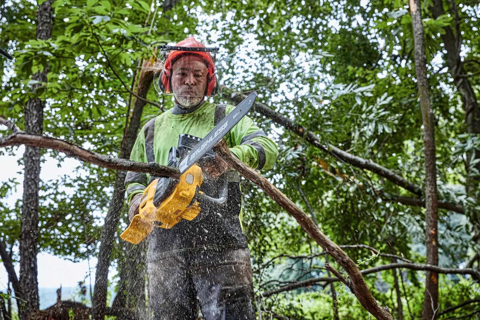 A person wearing safety gear uses a yellow DEWALT cordless chainsaw to cut a tree branch outdoors in a forest setting