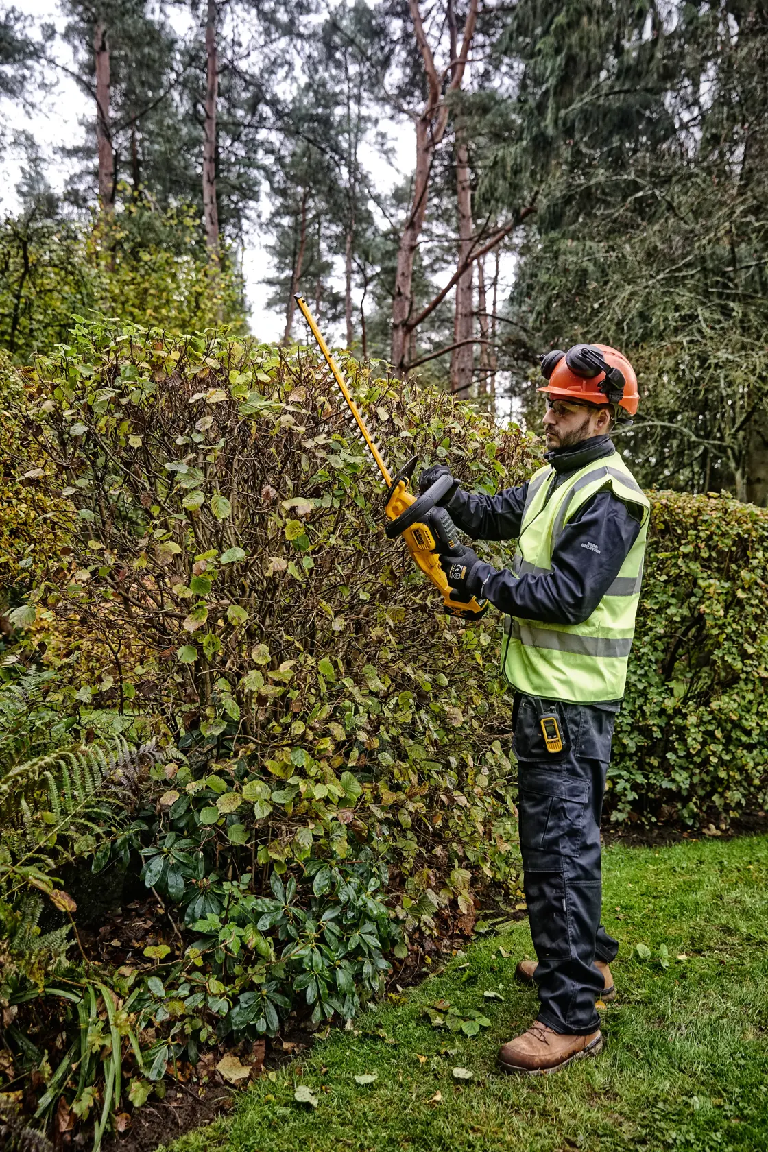 DEWALT 18V XR 55 см храсторез (25 мм разстояние между зъбите) - само инструмент