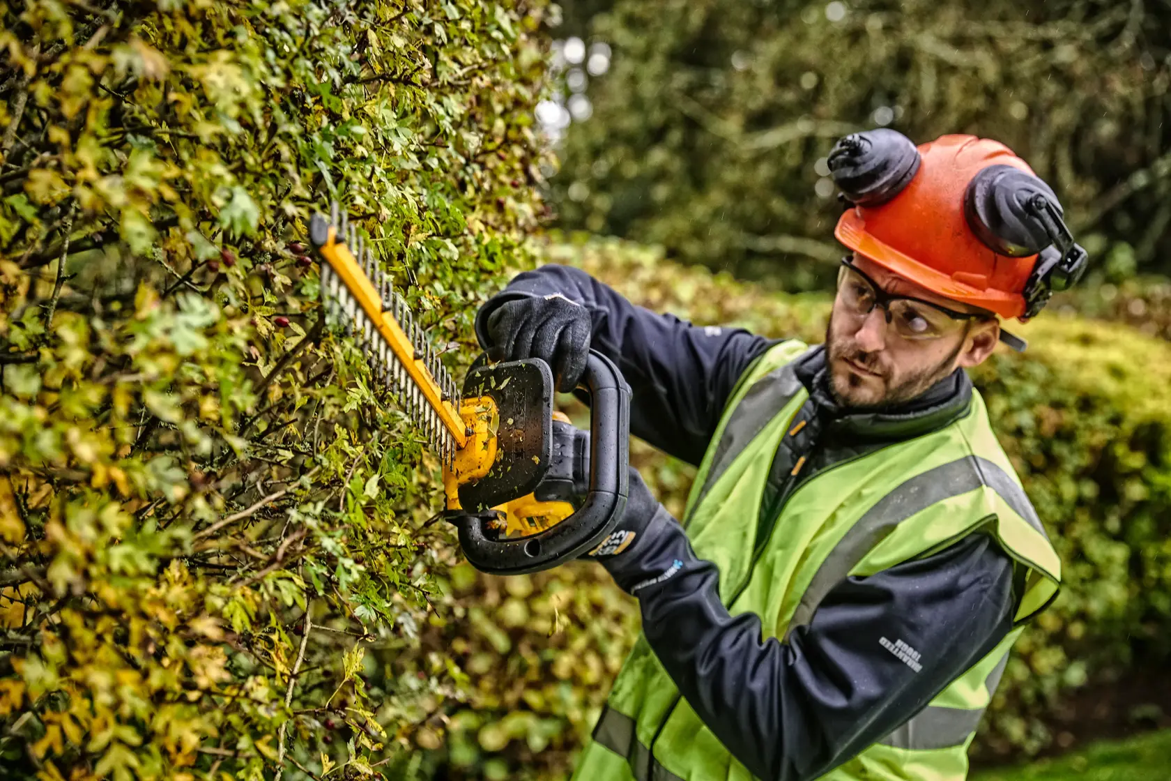 DEWALT 18V XR 55 см храсторез (25 мм разстояние между зъбите) - само инструмент