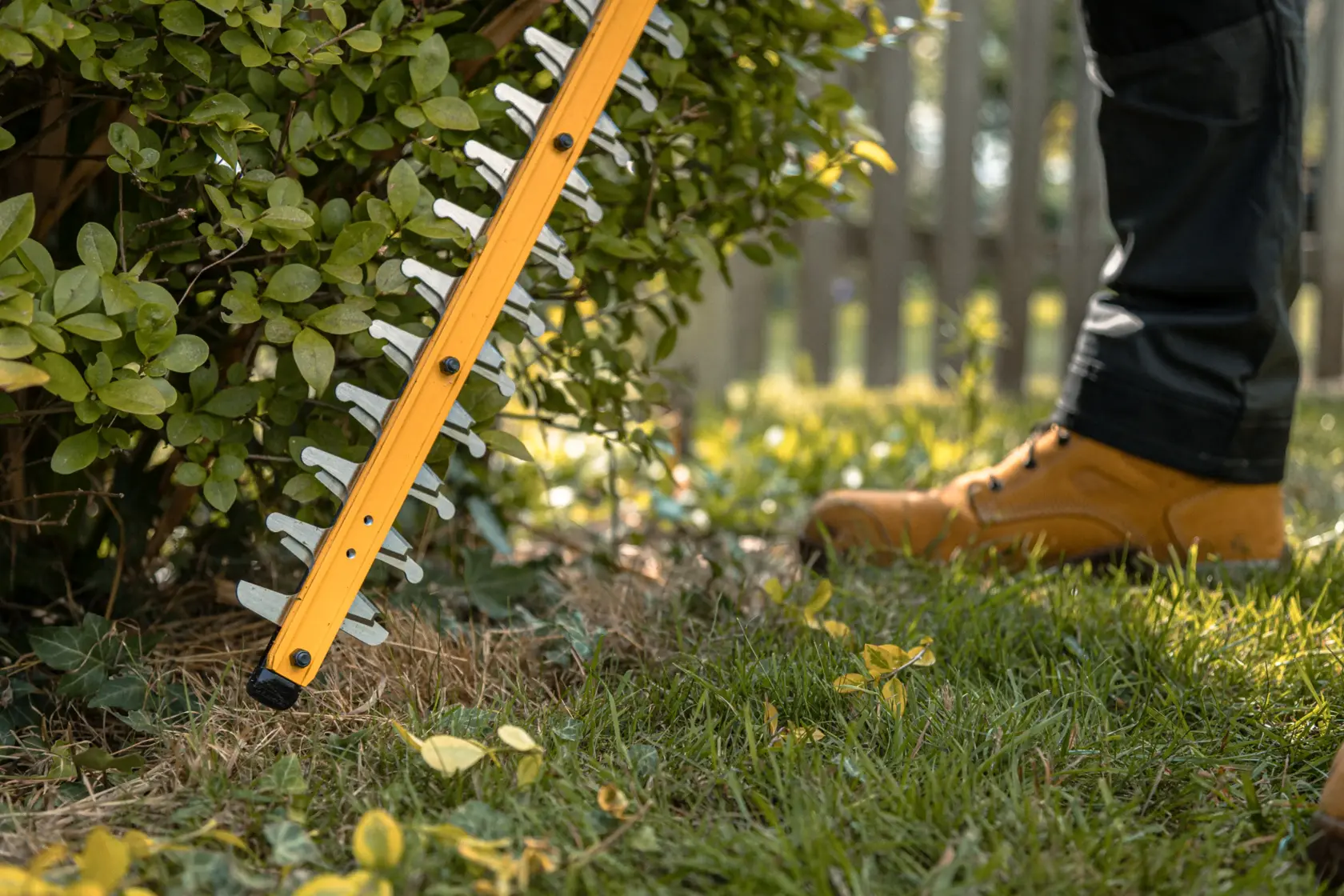 Person trims bushes with a yellow DEWALT hedge trimmer outdoors, wearing protective boots.
