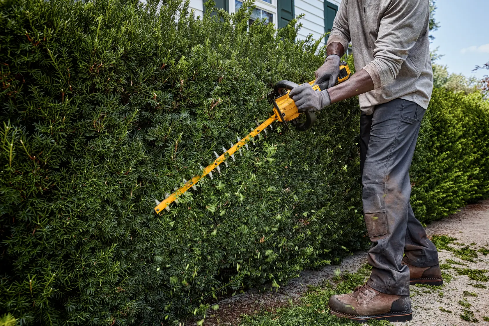 Una persona con guantes y ropa de trabajo utiliza un cortasetos inalámbrico amarillo DEWALT para recortar arbustos verdes en un jardín.