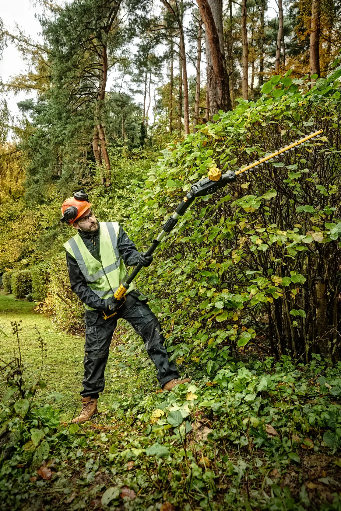 Person uses DEWALT pole hedge trimmer DCMPH566N outdoors, trimming tall bushes in a forested area.