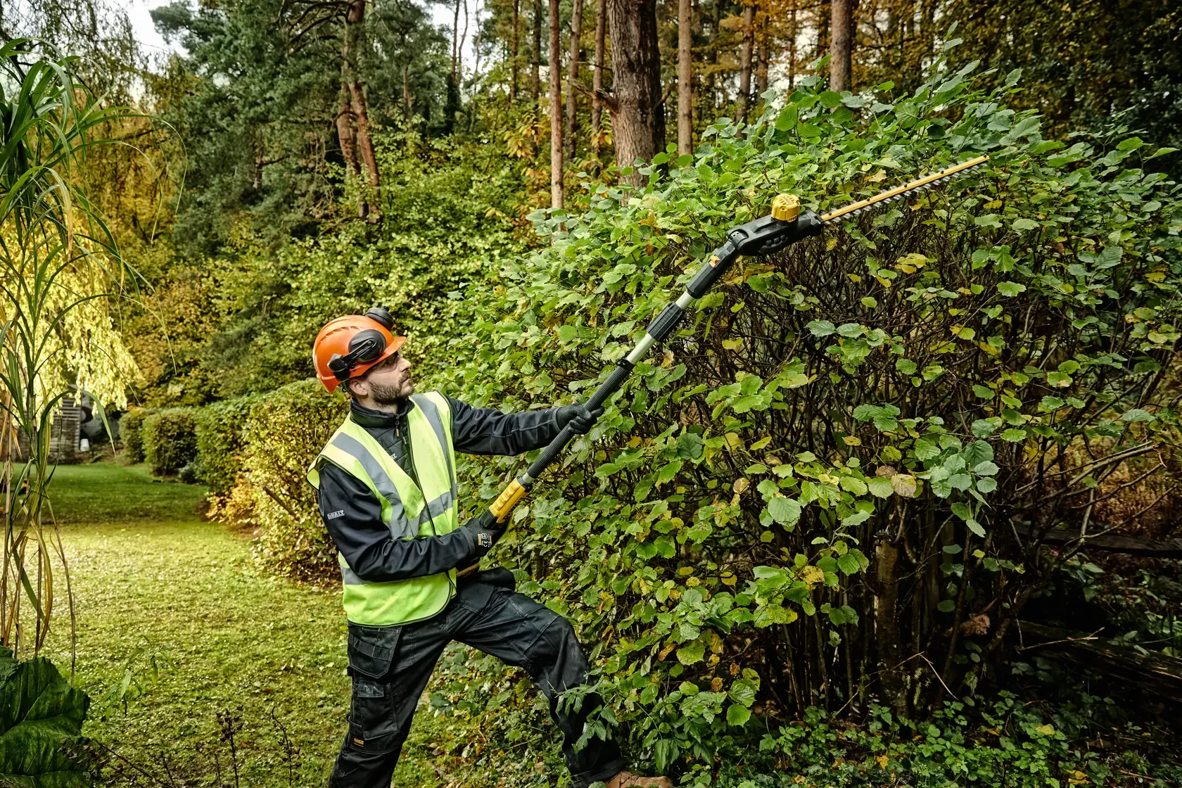 Person using DEWALT pole hedge trimmer outdoors, trimming tall green bushes while wearing safety gear.