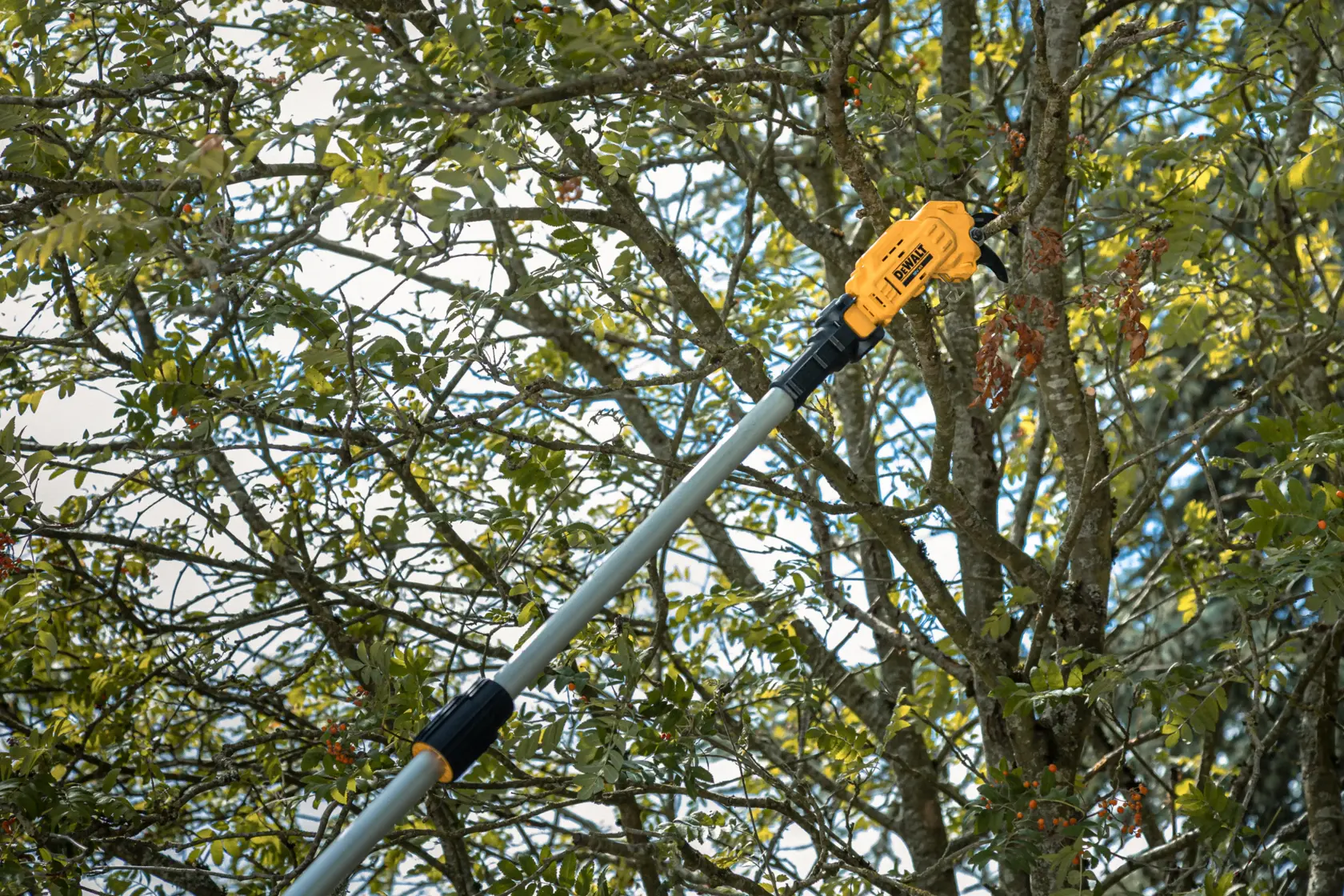 DEWALT pole saw cutting tree branches outdoors.
