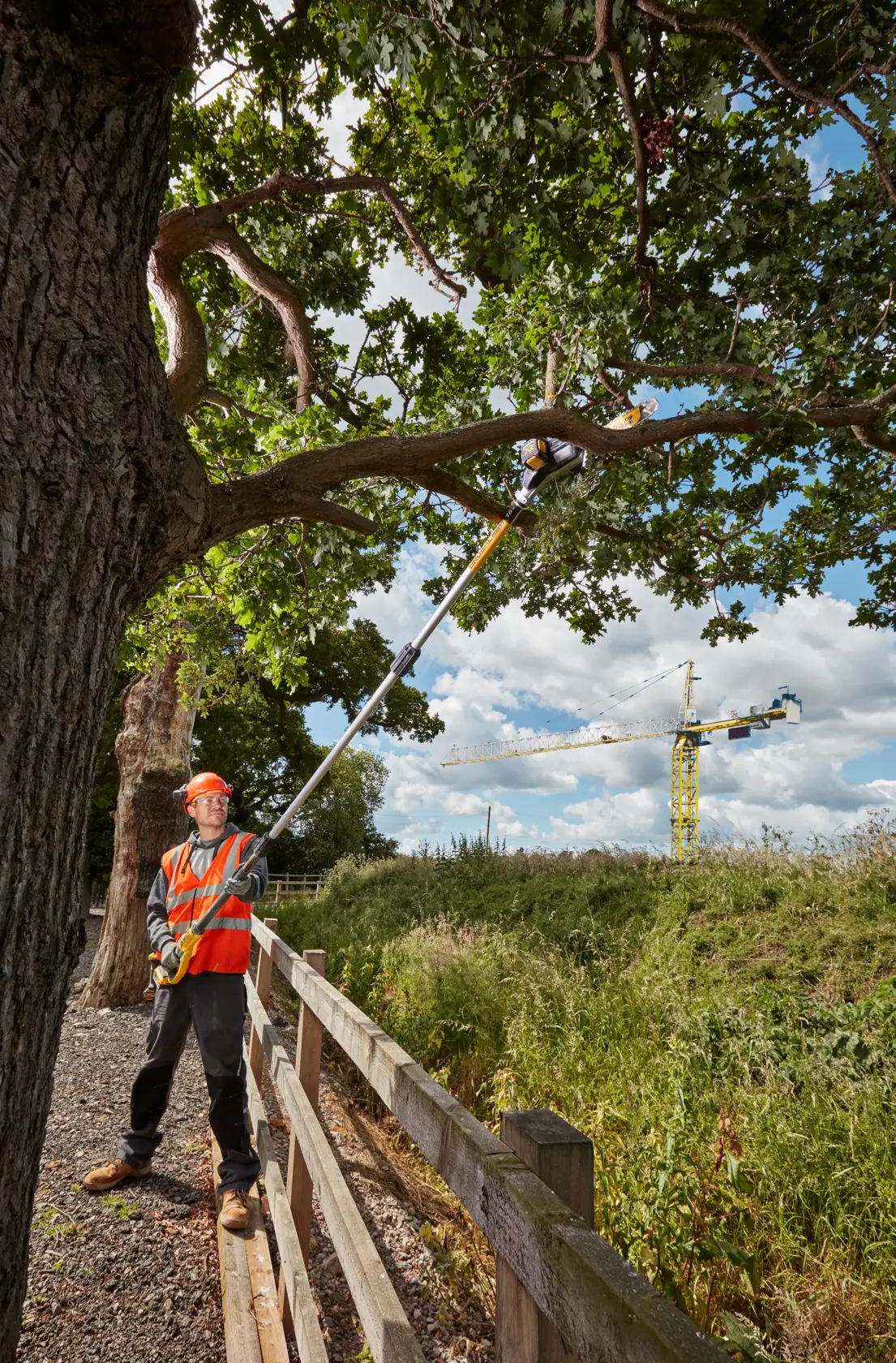 Worker uses DEWALT pole saw to trim tree branch outdoors, wearing safety gear and high-visibility vest.