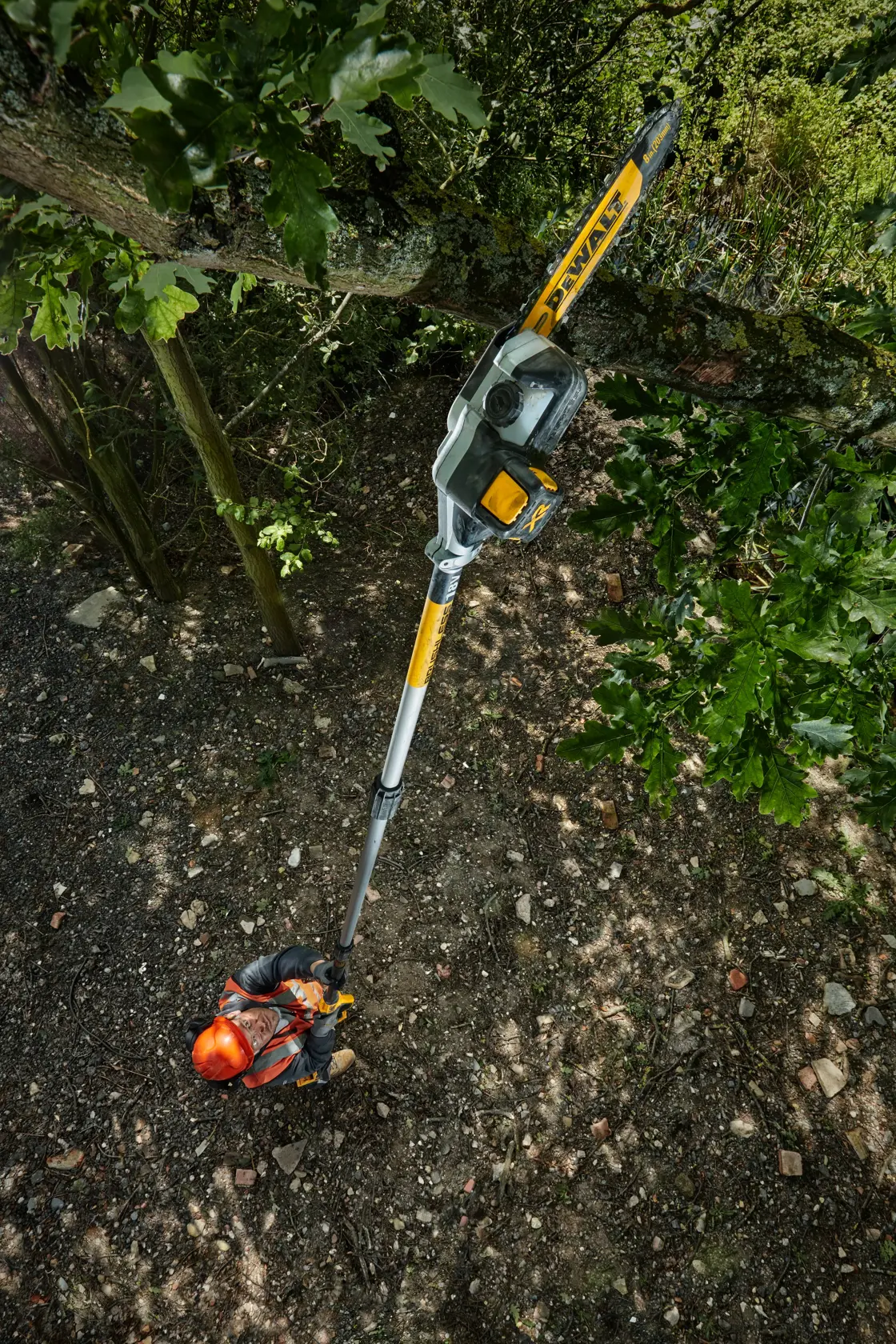 Person using a DEWALT pole saw to trim tree branches outdoors, wearing protective gear.