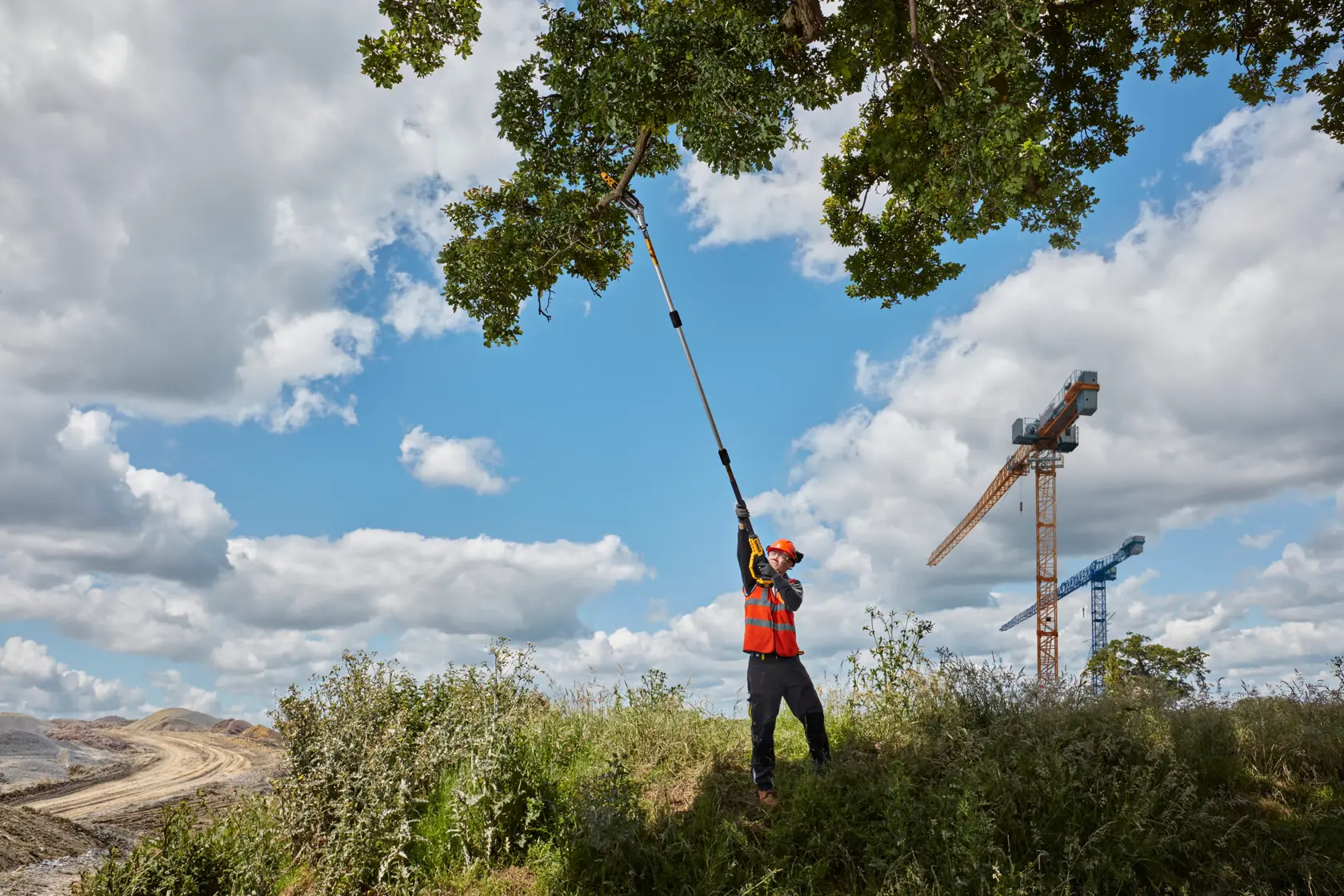 Person uses a DEWALT pole saw to trim high tree branches outdoors near construction cranes under a cloudy sky.