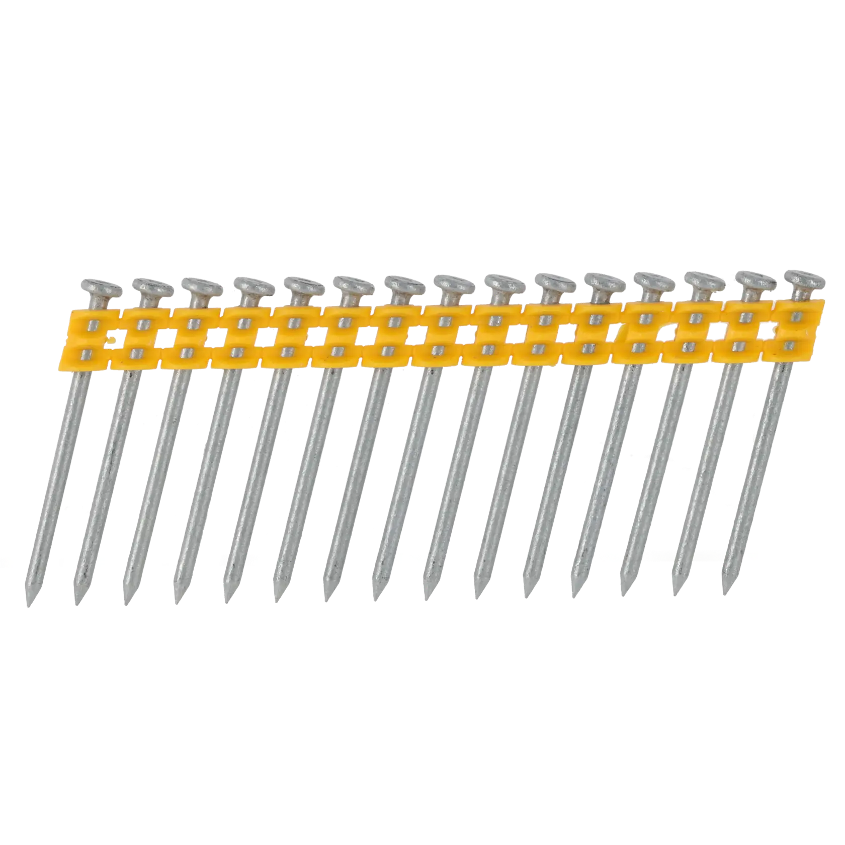 A strip of collated steel nails connected by a yellow plastic band for use in a nail gun.