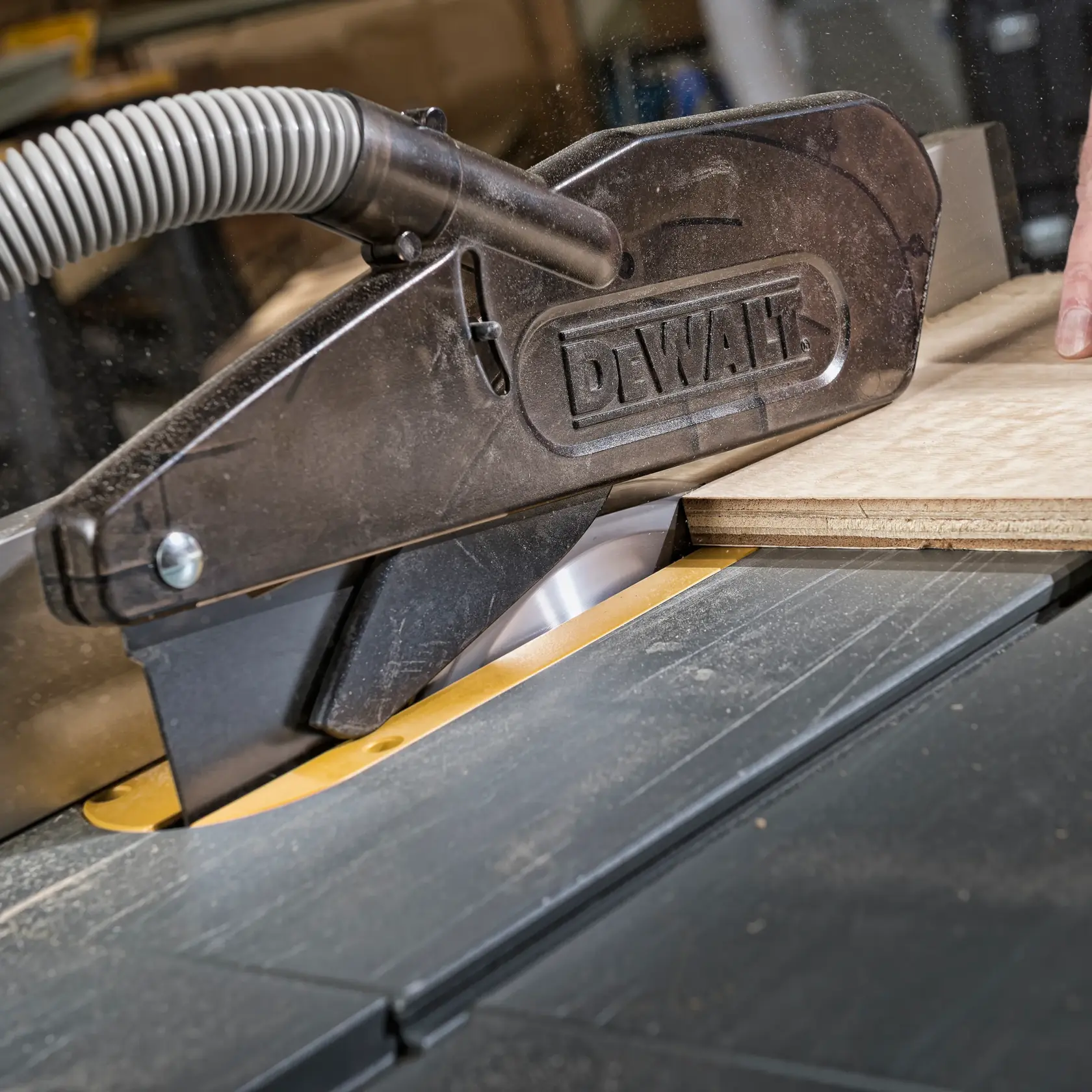 DEWALT® Extreme WORKSHOP Циркулярен диск 250mm x 30mm 40T